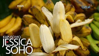 Kapuso Mo Jessica Soho Aba aba saging na saba [upl. by Sarat]