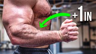 Want Huge Forearms I Gained 1 Inch Using THIS ScienceBacked Method [upl. by Bolger394]