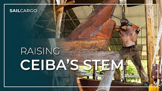 Raising CEIBAs Stem  SAILCARGO INC [upl. by Almita]