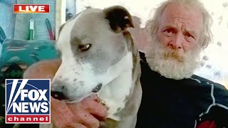 Dog saves owner after truck drives off a cliff [upl. by Baldridge371]