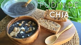 PUDIN DE CHIA  DESAYUNO SALUDABLE PARA PERDER PESO [upl. by Auberbach]