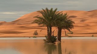 No Comment  les lacs de retour dans le désert marocain [upl. by Emmalee901]