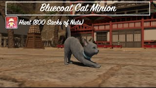 Final Fantasy XIV  Bluecoat Cat Minion [upl. by Iredale]