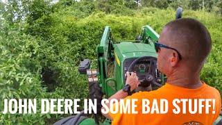 John Deere 5075E Bushhoggingbrushhogging an overgrown lot with 34quot diameter trees [upl. by Voltz554]