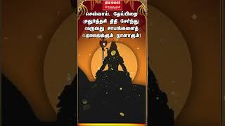 இன்று புண்ணியச் செவ்வாய் முருகனை வணங்க வேல் வந்து வினை தீர்க்கும் மயில் வந்து வழிகாட்டும் [upl. by Rieth]