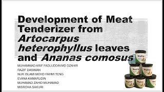 AgriFood Innovation  The Nangging Development of Meat Tenderizer [upl. by Ahsinat791]