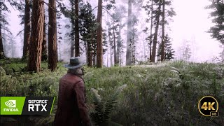 Red Dead Redemption 24K Photorealistic Ray Tracing Mod  The Most Realistic Experience” [upl. by Sokin]