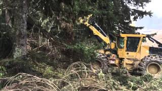 SKIDDER TIGERCAT 610E WITH EPSILON [upl. by Yerffeg]