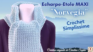 ECHARPE ou ETOLE CROCHET  Grande écharpe étole au crochet facile tout niveau [upl. by Culbert]