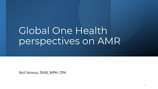 Global One Health Perspectives on Antimicrobial Resistance [upl. by Mikkel434]