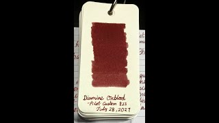 Filling my Pilot Custom 823 with Diamine Oxblood Ink [upl. by Cerracchio524]