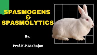 Effect of spasmogens and spasmolytics using rabbit jejunum [upl. by Kay]