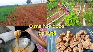 DOCE DE LEITE DE PEDAÇO RECEITA DA ROÇA  Perdi minhas mudas de rosa🌹😢 [upl. by Snebur]