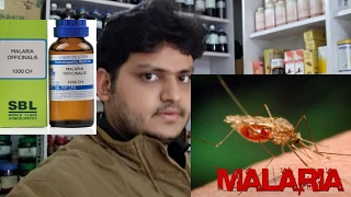 Homeopathic medicine for prevention from maleria [upl. by Einahpad]