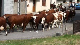 Les Bauges montée vers lArclusaz [upl. by Fisa]