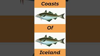 Where To Catch Pollock In The UK And Europe seafishinguk [upl. by Helfant595]