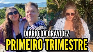 DIÁRIO DO PRIMEIRO TRIMESTRE crisepanda gravidez [upl. by Bradlee]