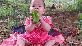 17 years old harvest star fruit to sell buy vegetables to grow [upl. by Gavrilla]