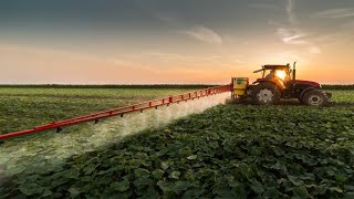 US vs European Pesticide Rulings Are We Really Safe [upl. by Marje]