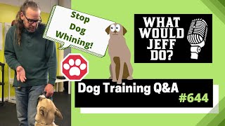 Dog Training QampA  Whining Dogs  Stop Dog Snapping  What Would Jeff Do Ep644 2020 [upl. by Anahgem]