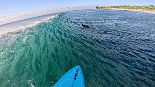 Epic Afternoon Surf at Balangan Beach  Perfect Waves for Beginners amp Intermediates [upl. by Armanda202]