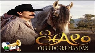 El Chapo de Sinaloa  Corridos ke Mandan  ALBUM [upl. by Norvol]