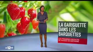 Reportage M6 sur la fraise Gariguette [upl. by Okiek]