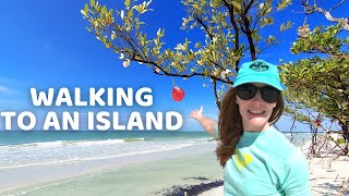 Caladesi Island State Park  Walking from Clearwater Beach to Caladesi [upl. by Atnima714]