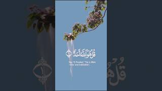 beautiful quranic voice❤️❤️sorts [upl. by Eylloh]