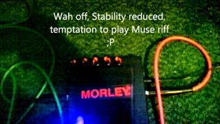 Morley PWV Wah modded by Otalgia FX [upl. by Akered666]