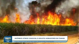 Incêndio atinge canavial e assusta moradores em Tanabi [upl. by Eisac804]