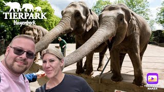 VLOG 78 Tierpark Hagenbeck Hamburg  Tagesausflug in den Zoo und das Eismeer 🐘🦧🦬  die PÜFFCHENS [upl. by Calvano]