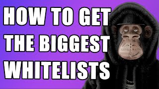 How I get Whitelisted for the BIGGEST Projects  NFT Tips Tricks amp Free Tools [upl. by Leinaj896]