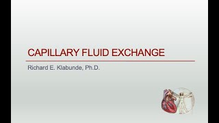 Capillary Exchange amp Edema [upl. by Mark]