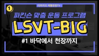 LSVTBIG 1 파킨슨 맞춤 운동 프로그램 바닥에서 천장까지 [upl. by Gannes]