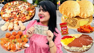 Living on Rs 1000 for 24 Hours Challenge  Noida Food Challenge [upl. by Ynneh]