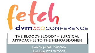 Hemoperitoneum  Hemoabdomen  Splenectomy  fetch dvm360 conference in Atlantic City October 2024 [upl. by Goto]