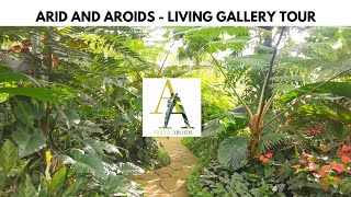 ARID AND AROIDS  TOUR AROUND THE LIVING GALLERY AND PLANT SHOP IN SILANG CAVITE [upl. by Costanzia809]