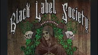 Black Label Society Unblackened 2013 Review [upl. by Feucht]