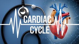 Understanding the cardiac cycle Animation [upl. by Wyne320]