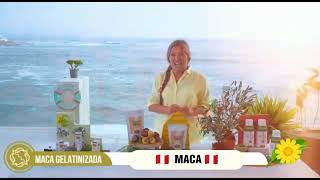 Beneficios de la Maca gelatinizada Santa Natura [upl. by Aehtna386]