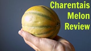 Charentais Melon Review  Weird Fruit Explorer Ep 190 [upl. by Ajnat]