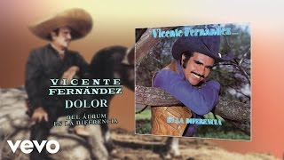 Vicente Fernández  Dolor Cover Audio [upl. by Alletsirhc]