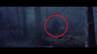 Search for the Legend of Boggy Creek Documentary [upl. by Oilejor237]