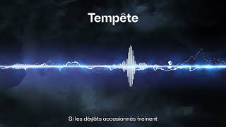 Reconstruire après la tempête  Podcast quotTempêtequot épisode 2 [upl. by Yonatan]