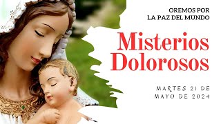 Rosario de Hoy MARTES 21 de MAYO  Misterios DOLOROSOS  Wilson Tamayo [upl. by Htelimay410]