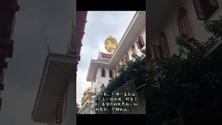 曼谷市区大佛，来曼谷一定要去一趟 泰国 travel 泰国旅行 泰国生活 thailand 曼谷 曼谷旅行 曼谷生活Wat Paknam Phasi Charoen [upl. by Py]