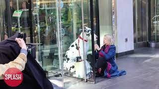 Naomi Watts Has Trouble Getting A Great Dane Through A Revolving Door At quotThe Friendquot Set [upl. by Budworth]