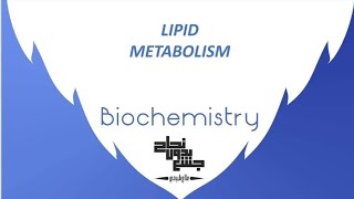 Lipid Metabolism  Biochemistry 2 Lec 4 [upl. by Mason]