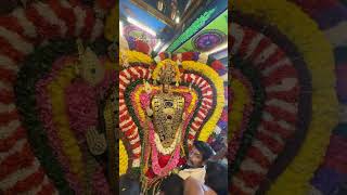 Pondicherry murugan 🙏 thirukalyanam trendingshorts trendingvideo trending trend love song [upl. by Maude25]